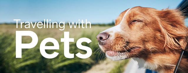 travelling with pets top banner 100